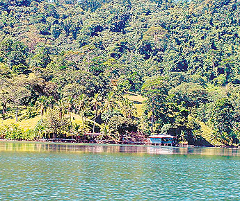 haga click para ampliar la imagen