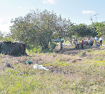 haga click para ampliar la imagen