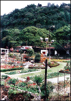 Imagen foto