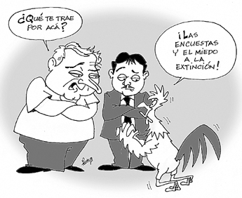 haga click para ampliar la imagen