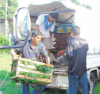 haga click para ampliar la imagen