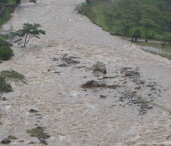 haga click para ampliar la imagen