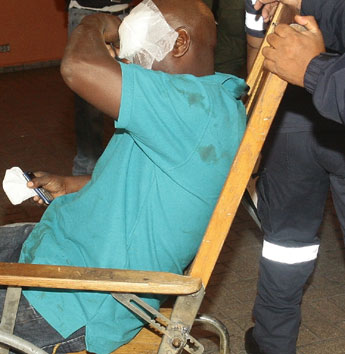 haga click para ampliar la imagen