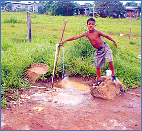 Imagen foto