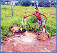 Imagen foto