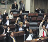 haga click para ampliar la imagen