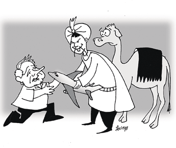 haga click para ampliar la imagen