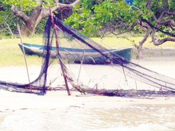 haga click para ampliar la imagen