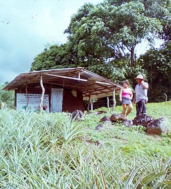Imagen foto
