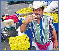 Imagen foto