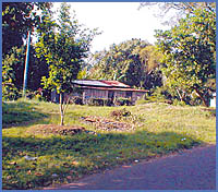 Imagen foto