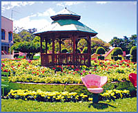 Imagen foto