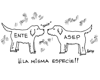 Imagen foto