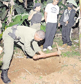 haga click para ampliar la imagen