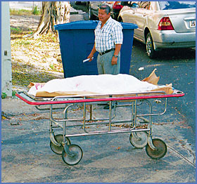 Imagen foto