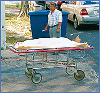 Imagen foto