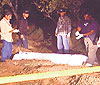 haga click para ampliar la imagen