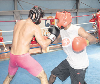 haga click para ampliar la imagen