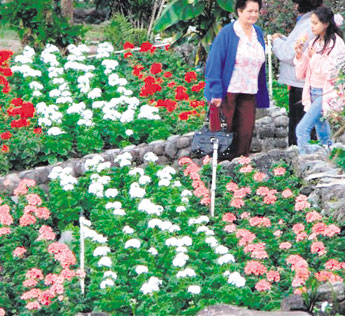 haga click para ampliar la imagen