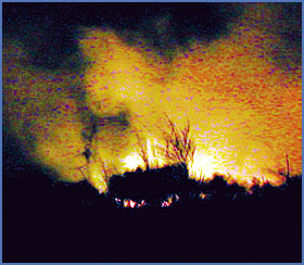 Imagen foto
