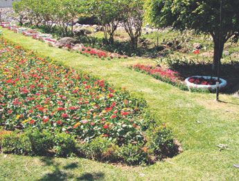 haga click para ampliar la imagen