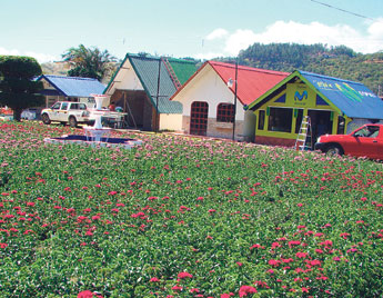 haga click para ampliar la imagen