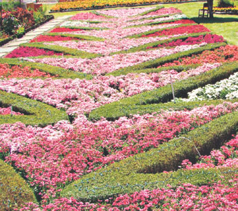 haga click para ampliar la imagen