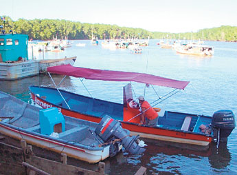 haga click para ampliar la imagen