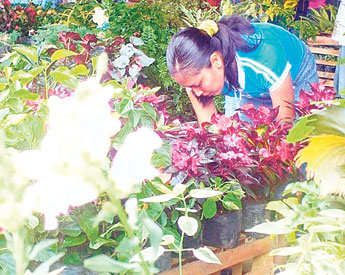 haga click para ampliar la imagen