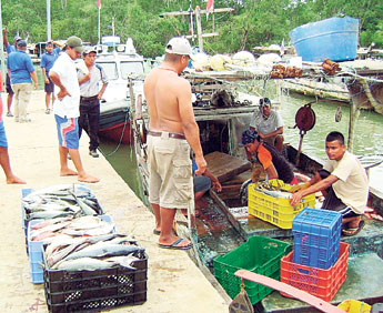 haga click para ampliar la imagen