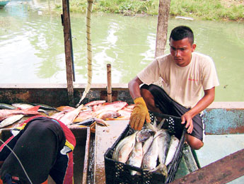 haga click para ampliar la imagen