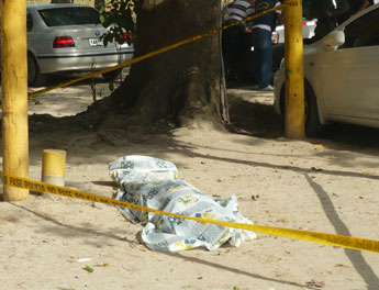 haga click para ampliar la imagen