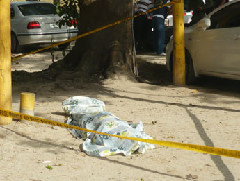 haga click para ampliar la imagen