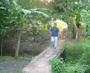 Imagen foto