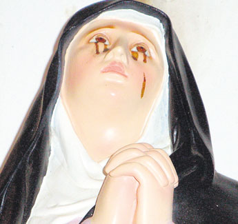 haga click para ampliar la imagen