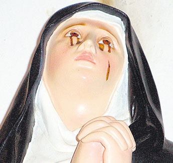 haga click para ampliar la imagen