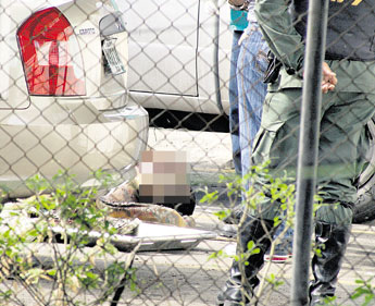 haga click para ampliar la imagen