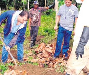 haga click para ampliar la imagen