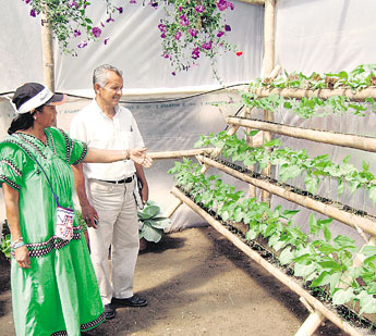 haga click para ampliar la imagen