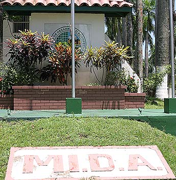 Imagen foto
