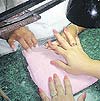 Imagen foto