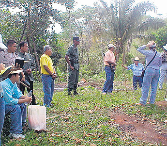 haga click para ampliar la imagen