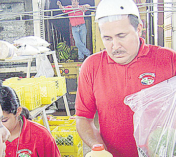 haga click para ampliar la imagen