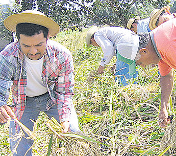 haga click para ampliar la imagen