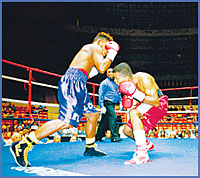 Imagen foto