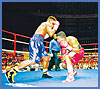 Imagen foto
