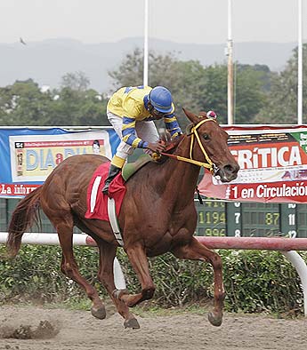 Imagen foto