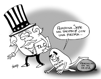 Imagen foto