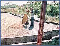 Imagen foto