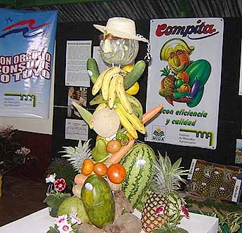 Imagen foto